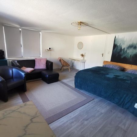 Guenstige, Moderne Zimmer Im Wanderparadies Wernigerode Buitenkant foto